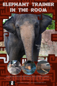 Elephant Trainer In the Room poster